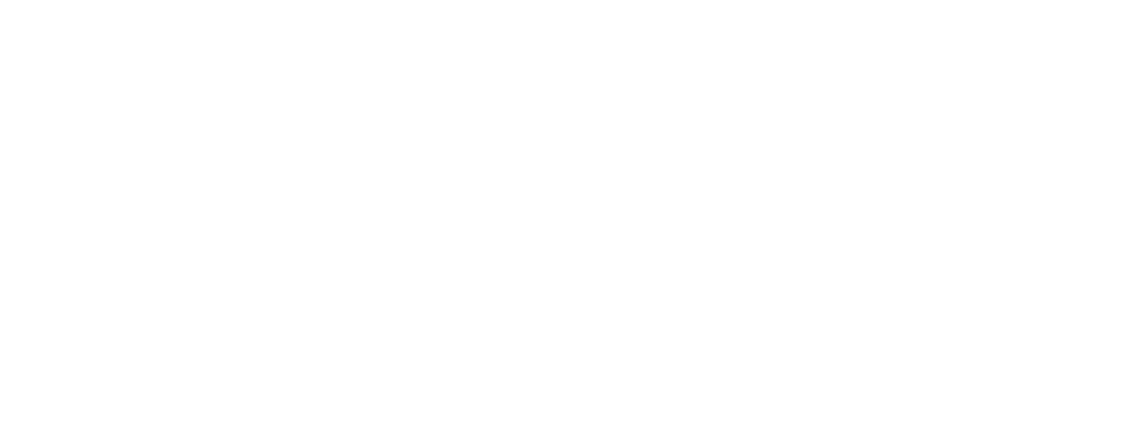 SOLUTIONIZE-logo-white (5)